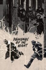 Movie Diamonds of the Night