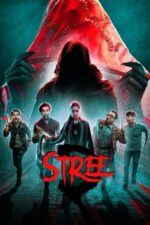 Movie Stree 2