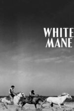 Movie White Mane