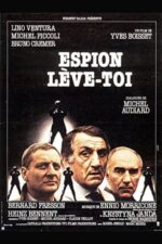 Movie Espion, lève-toi