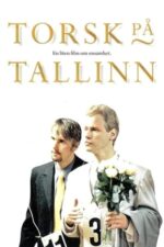 Movie Screwed in Tallinn – A Small Film About Loneliness
