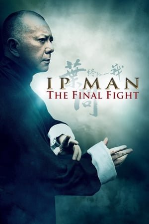 Ip Man: The Final Fight 2025 182127 w500 | Readd — Find What to Watch Next