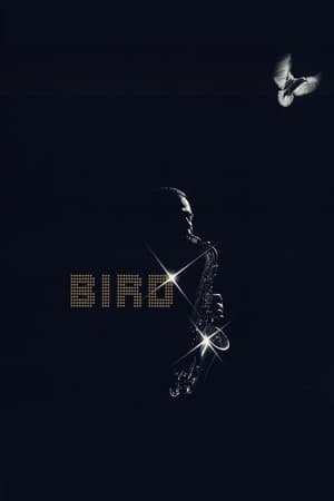 Bird 2025 24679 w500 | Readd — Find What to Watch Next
