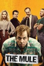 Movie The Mule