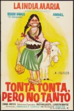 Movie Tonta, tonta, pero no tanto