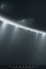 Movie Wanderers
