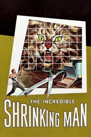 The Incredible Shrinking Man 2025 31682 w500 1Tl2aeOhvUmEHSGHGH5SfmN19vQ | Readd — Find What to Watch Next