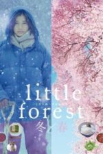 Movie Little Forest: Winter/Spring