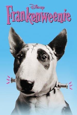Frankenweenie 2025 33914 w500 | Readd — Find What to Watch Next
