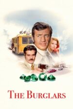 Movie The Burglars
