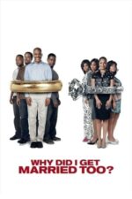 Movie Why Did I Get Married Too?