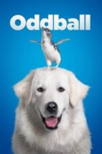 Movie Oddball