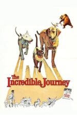 Movie The Incredible Journey