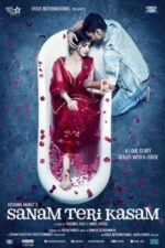 Movie Sanam Teri Kasam