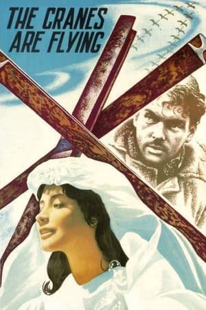 The Cranes Are Flying 2025 38360 w500 foXYOdXEJ0rvtTDo4LLnsUnvPLB | Readd — Find What to Watch Next