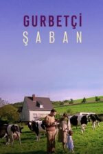 Movie Expat Şaban
