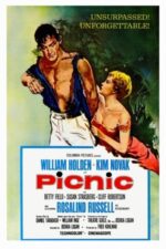 Movie Picnic