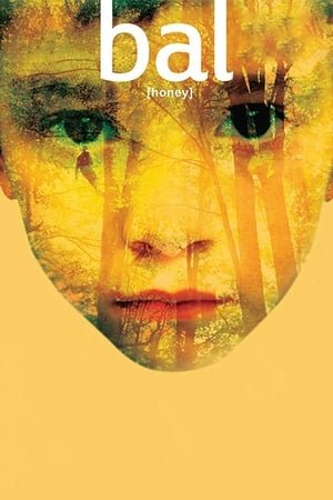 Honey 2025 44160 w500 | Readd — Find What to Watch Next