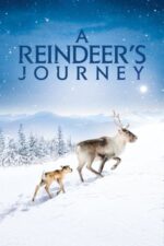 Movie A Reindeer’s Journey