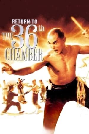 Return to the 36th Chamber 2025 48301 w500 | Readd — Find What to Watch Next