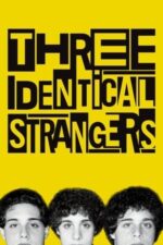 Movie Three Identical Strangers