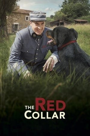 The Red Collar 2025 499151 w500 | Readd — Find What to Watch Next