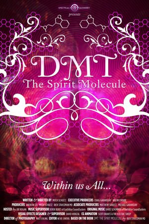 DMT: The Spirit Molecule 2025 53778 w500 2rAWv8f8u1oTrSfI05rMabi2mF4 | Readd — Find What to Watch Next