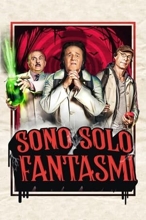 Sono solo fantasmi 2025 607346 w500 | Readd — Find What to Watch Next