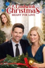 Movie A Godwink Christmas: Meant For Love