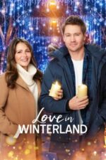 Movie Love in Winterland