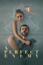 Movie A Perfect Enemy
