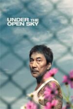 Movie Under the Open Sky