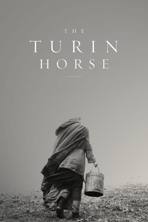 The Turin Horse 2025 81401 w500 2kSElneXSKmMsGL55k0CbPGqLbu | Readd — Find What to Watch Next