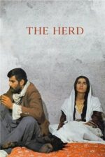 Movie The Herd