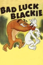 Movie Bad Luck Blackie
