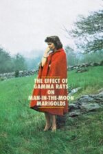 Movie The Effect of Gamma Rays on Man-in-the-Moon Marigolds