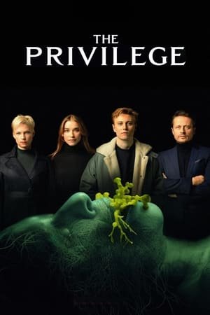 The Privilege 2025 926980 w500 qBLi3Nd5JMQGMiOmmfuPgLw5SzD | Readd — Find What to Watch Next