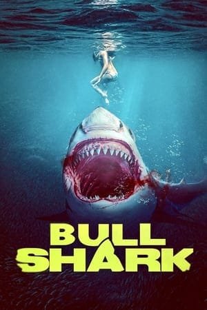 Bull Shark 2025 938596 w500 | Readd — Find What to Watch Next