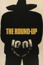 Movie The Round-Up