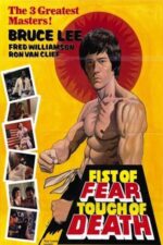 Movie Fist of Fear, Touch of Death