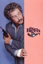 Movie The Big Fix