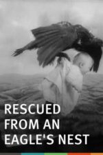 Movie Rescued from an Eagle’s Nest