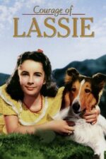 Movie Courage of Lassie