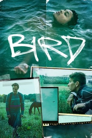 Bird 2025 1128752 w500 wKshd6n8EKrwbE2fLOUqC4TSG6O | Readd — Find What to Watch Next