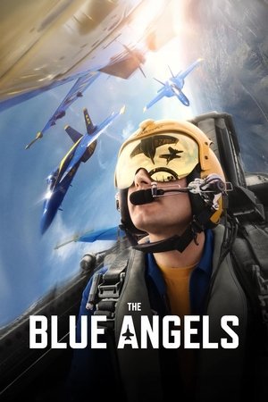 The Blue Angels 2025 1120821 w500 | Readd — Find What to Watch Next