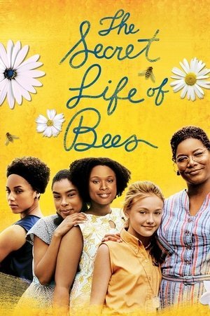 The Secret Life of Bees 2025 12837 w500 m1LGEeoYfc6crbfG8WmTKg9SVqL | Readd — Find What to Watch Next