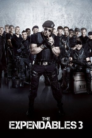 The Expendables 3 2025 138103 w500 ruW3malZtlg66ODfg614dFbXO68 | Readd — Find What to Watch Next