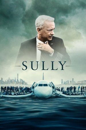 Sully 2025 363676 w500 4vs83YcJ8TsabADDtaeCJ6ZTjYY | Readd — Find What to Watch Next
