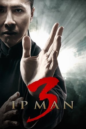 Ip Man 3 2025 365222 w500 RTt4lgyTDI8JHMGbZGDDbcZmkM | Readd — Find What to Watch Next