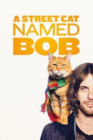 A Street Cat Named Bob 2025 404378 w500 nBYG0D2FcbL1m926sIj7RN4m0sb | Readd — Find What to Watch Next